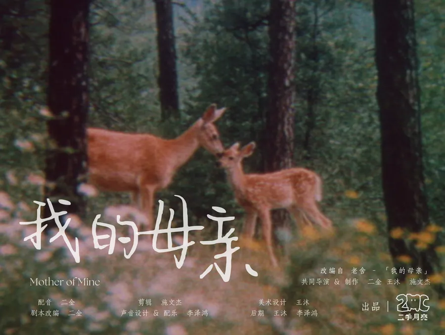 我的母亲